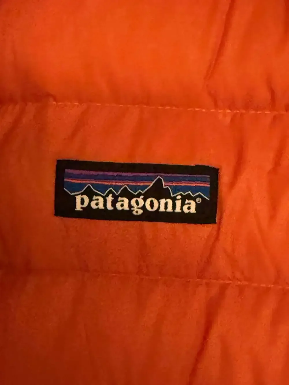 Patagonia Men's Down Sweater Puffer Jacket in Orange 41JC